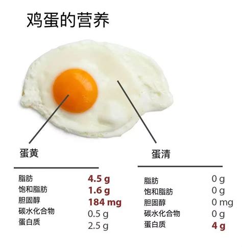 一个鸡蛋有多少克蛋白质