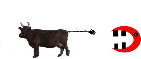一只牛打一个字是什么字