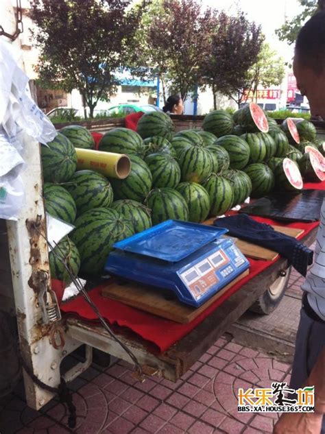 一天卖3万斤西瓜技术