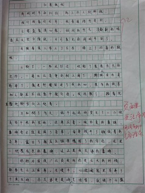 三年级关于春节的作文300字