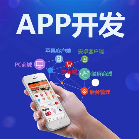 三明专业app开发