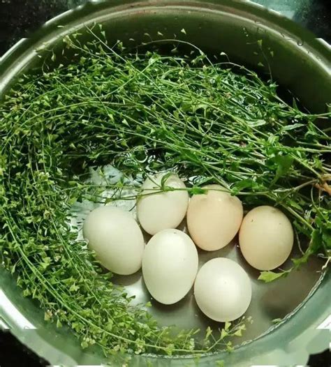三月三荠菜煮鸡蛋鸡蛋要打破皮吗