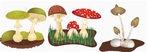 三种蘑菇取名