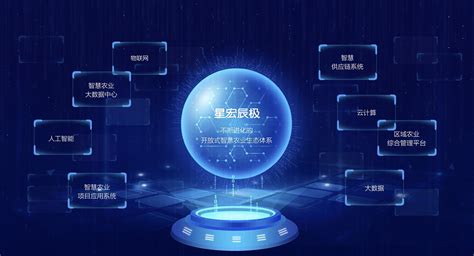 上海一站式信息技术推广价格优惠
