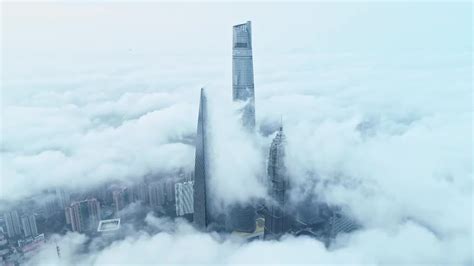 上海云背调