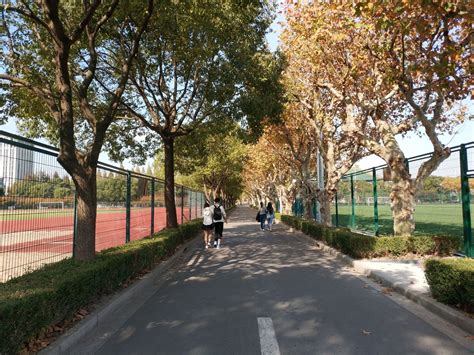 上海体育学院要多少分