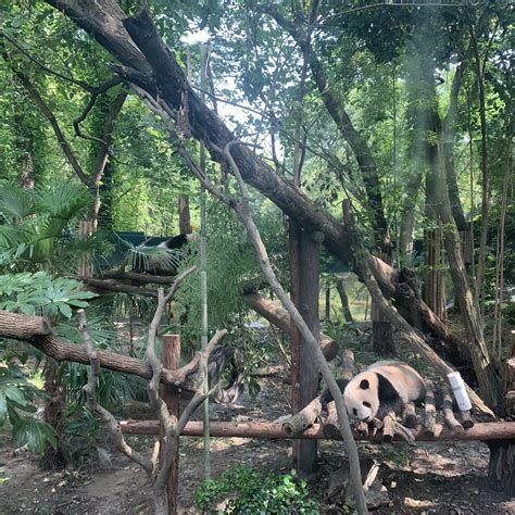 上海动物园值得去的地方
