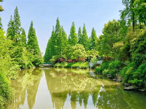 上海崇明岛东平国家森林公园
