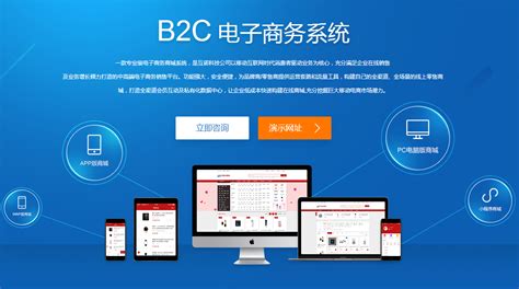 上海电子商务平台开发