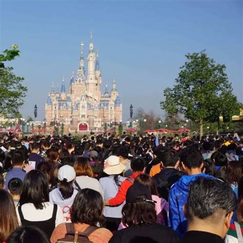 上海迪士尼游客排队4小时