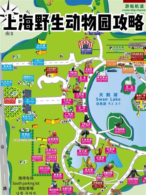 上海野生动物园停车场哪个方便