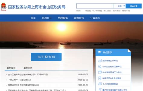 上海金山税务网站