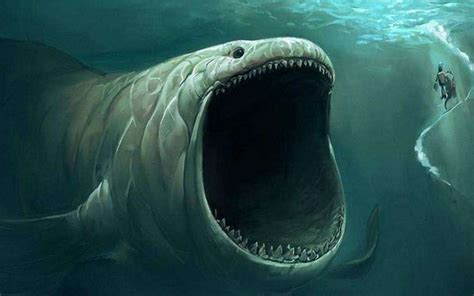 不同大小的深海巨兽