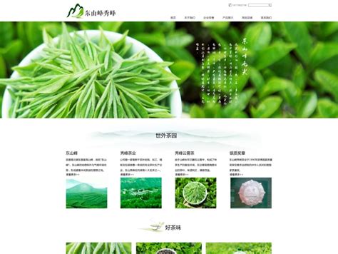 专业绿茶网站