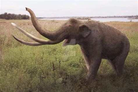 世界上已经灭绝的最大大象