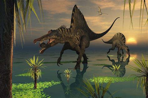 世界上最后一只恐龙在哪里发现