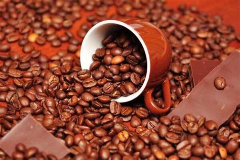 世界上最好的咖啡豆排名榜第一名