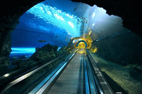 世界上最长的隧道
