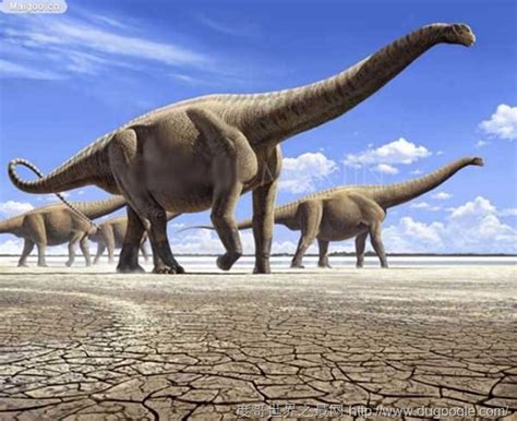 世界最大恐龙十大排名