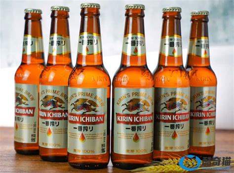 世界第一大啤酒公司排名