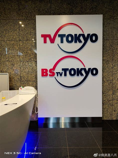 东京电视台是私人的吗