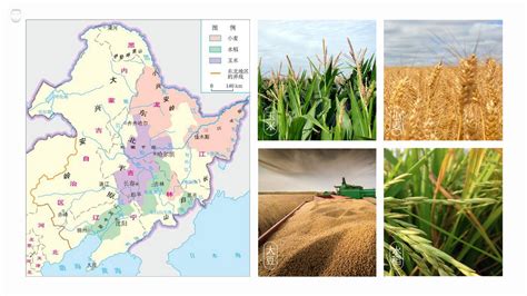 东北农业发展的主要条件