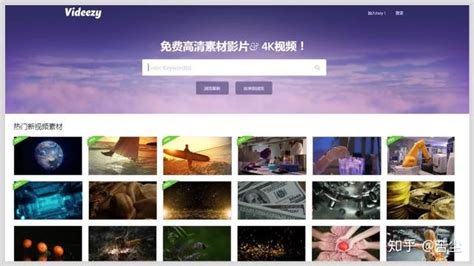 东莞免费视频网站建设