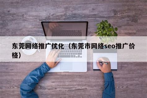 东莞市网络seo推广企业名单