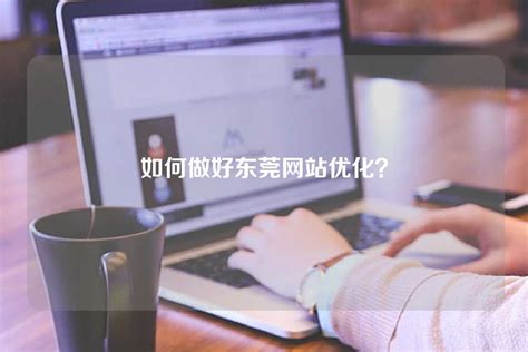 东莞网站优化教程
