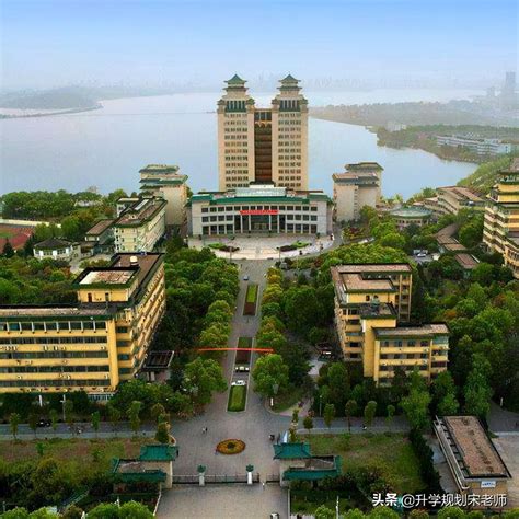 中南大学主要是学哪个专科