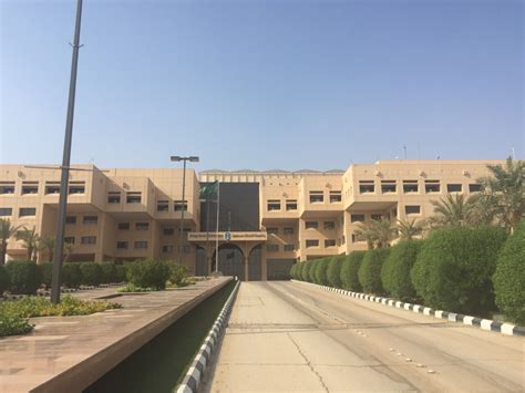 中国人考进沙特国王科技大学