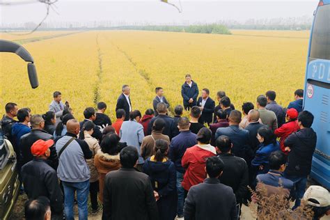 中国农业合作社网