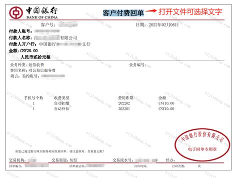 中国农业银行业务凭证回单