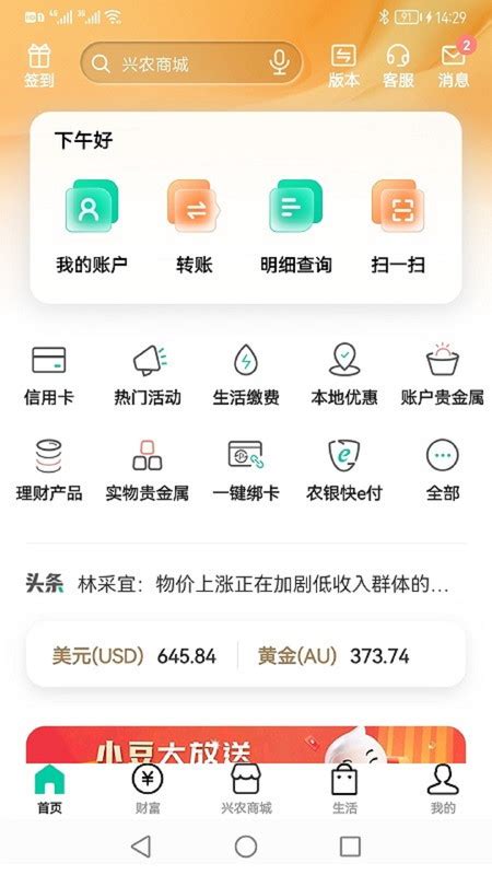 中国农业银行app怎样打流水