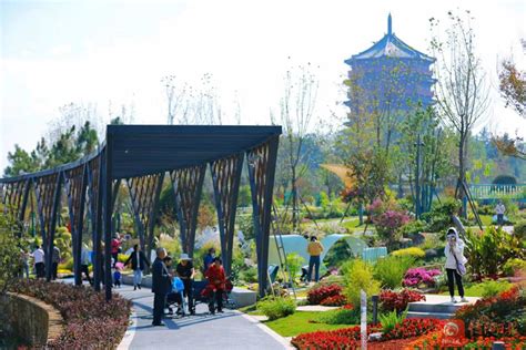 中国十大花园城市