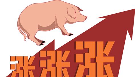 中国发改委猪价会议