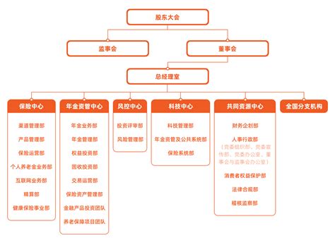 中国平安保险资本结构分析