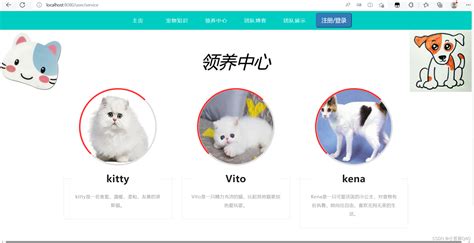 中国最大的宠物领养平台