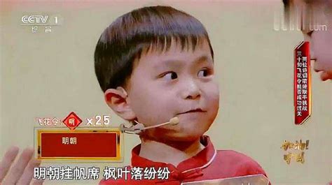 中国现在最厉害的天才神童