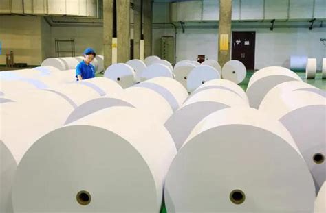 中国纸浆生产十大企业