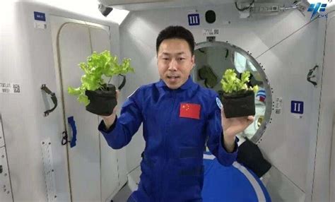 中国航天员太空菜园