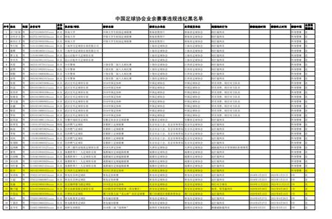 中国足协31人终身禁赛名单