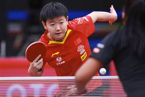 中国顶尖乒乓球运动员