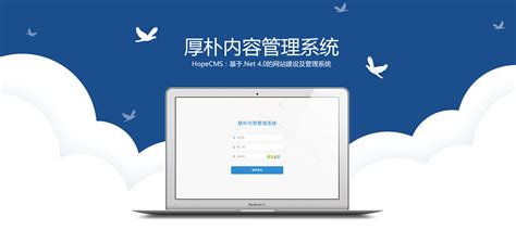 中山精品网站建设软件开发