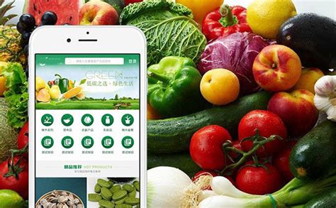 中山食品网络推广软件