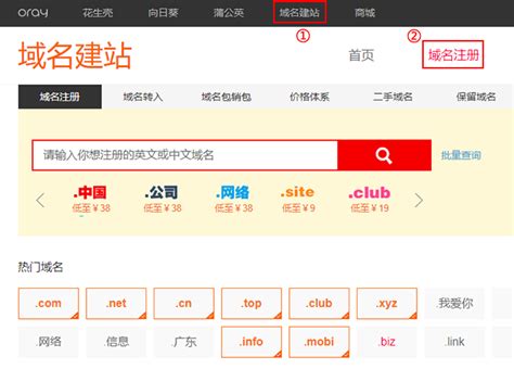 中文域名查询方法