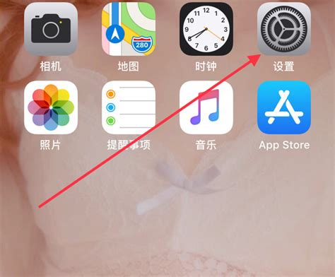 中文版苹果软件