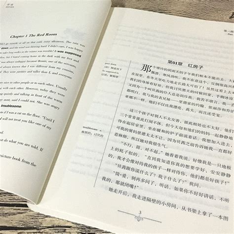 中英文版书籍