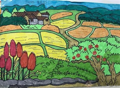 丰收的稻田绘画高年级