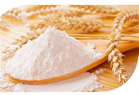 为什么小麦粉没有微生物指标